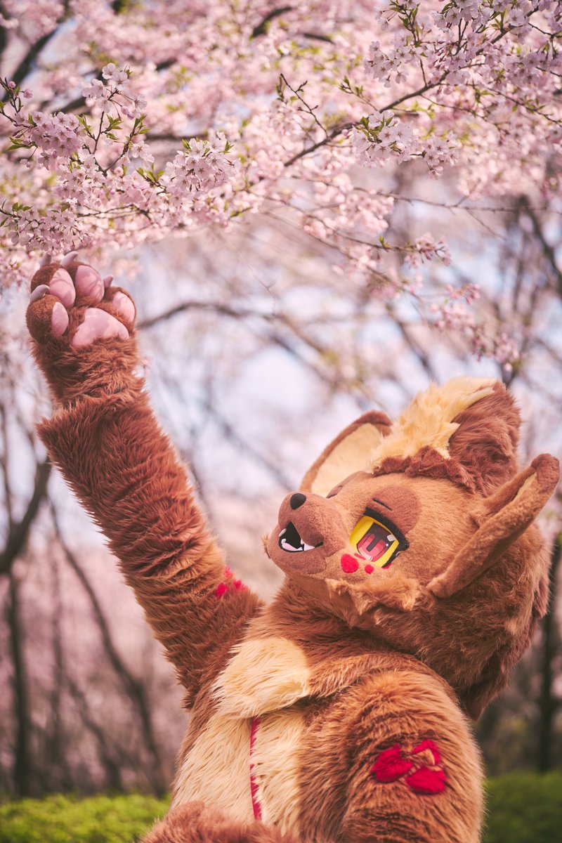 Nytro🍒🔜Furward tweet media