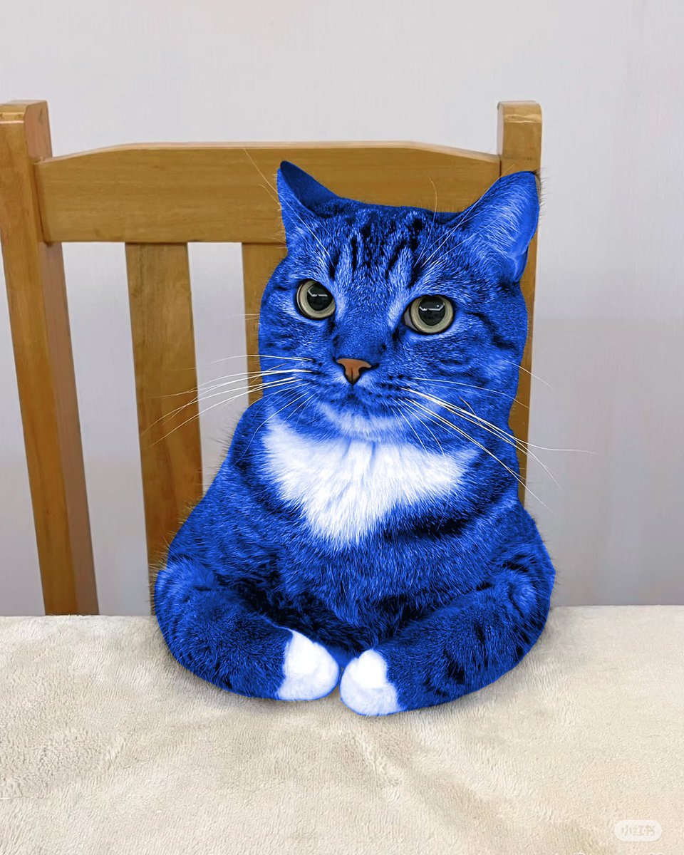 nnnstrs's tweet photo. i love blue buddy #bluebuddy https://t.co/LwevB2fz6r