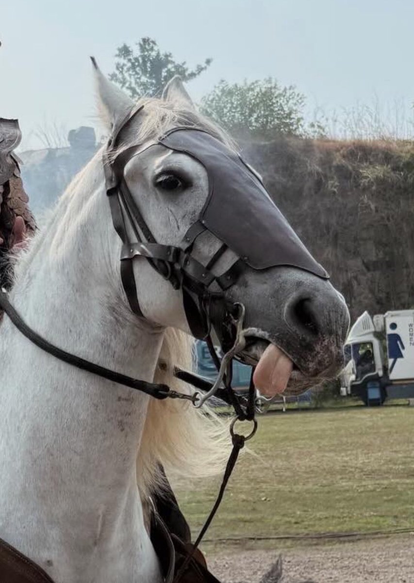 Pàpiya แม่หนูพูมใจ 39 ครั้ง tweet media