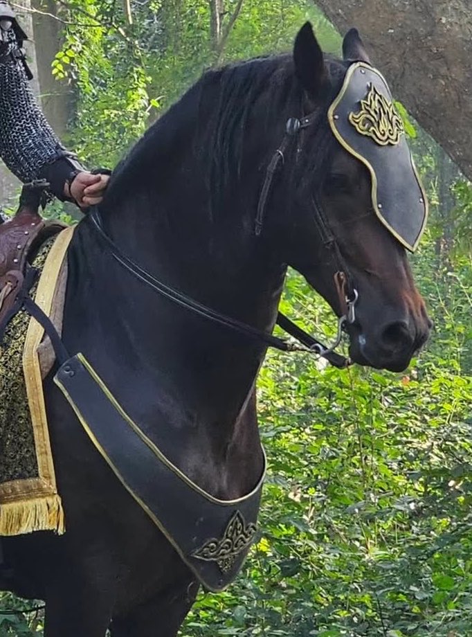 Pàpiya แม่หนูพูมใจ 39 ครั้ง tweet media