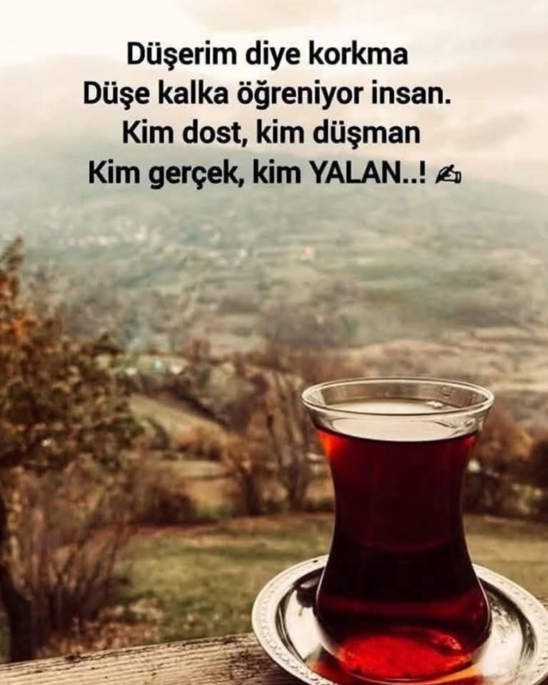 Ayşegül AK tweet media
