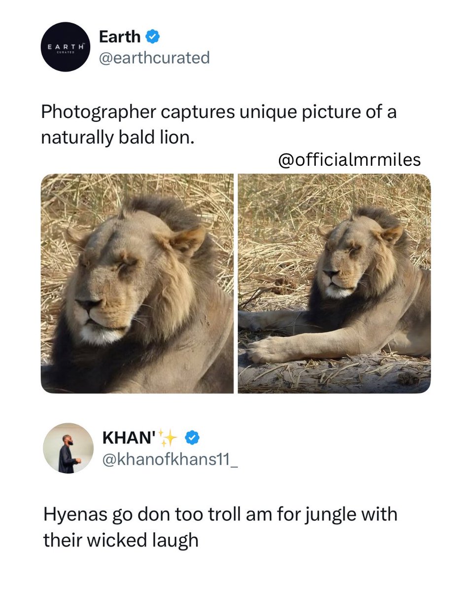 Miles 👑 tweet media