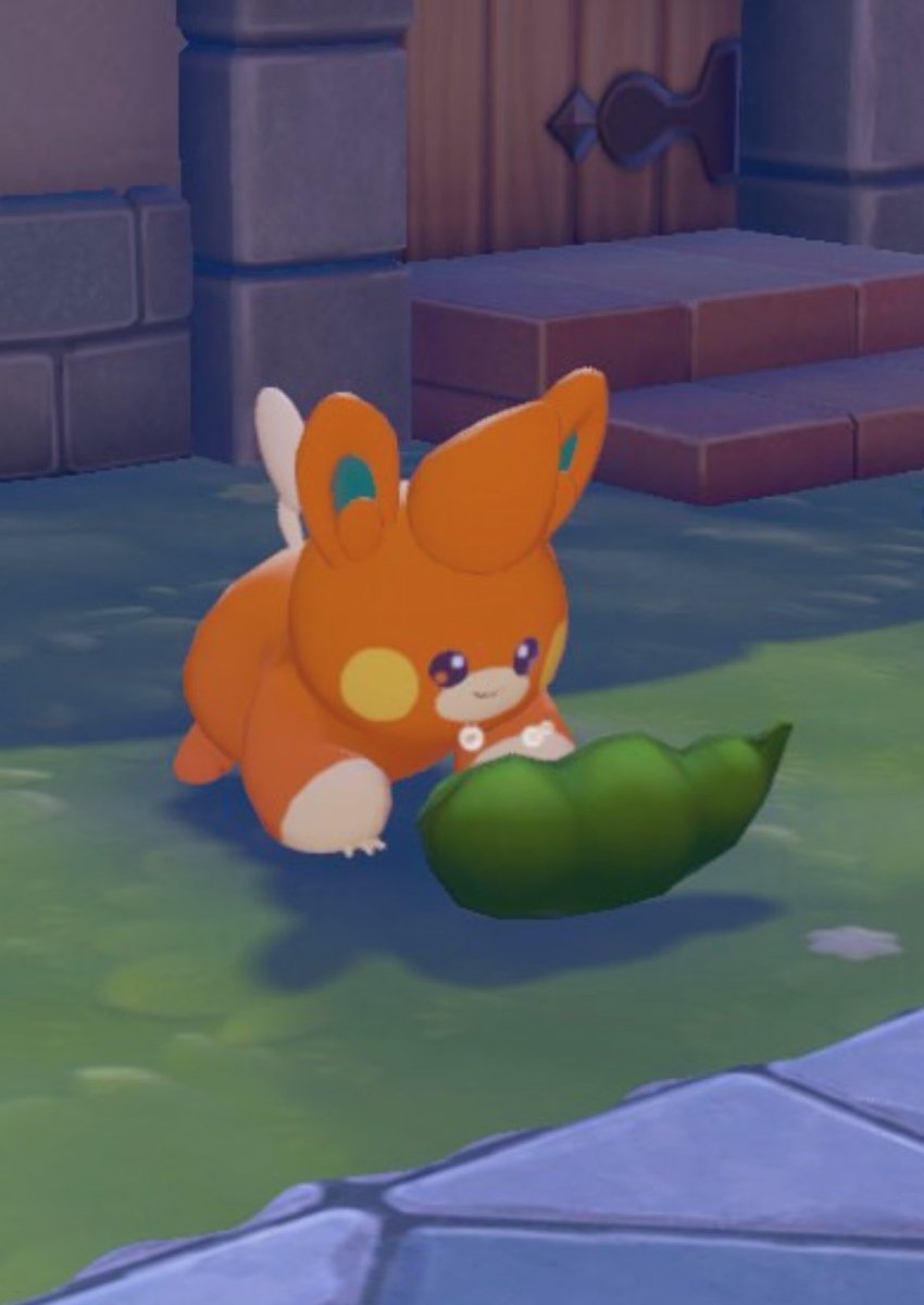 わお未 tweet media