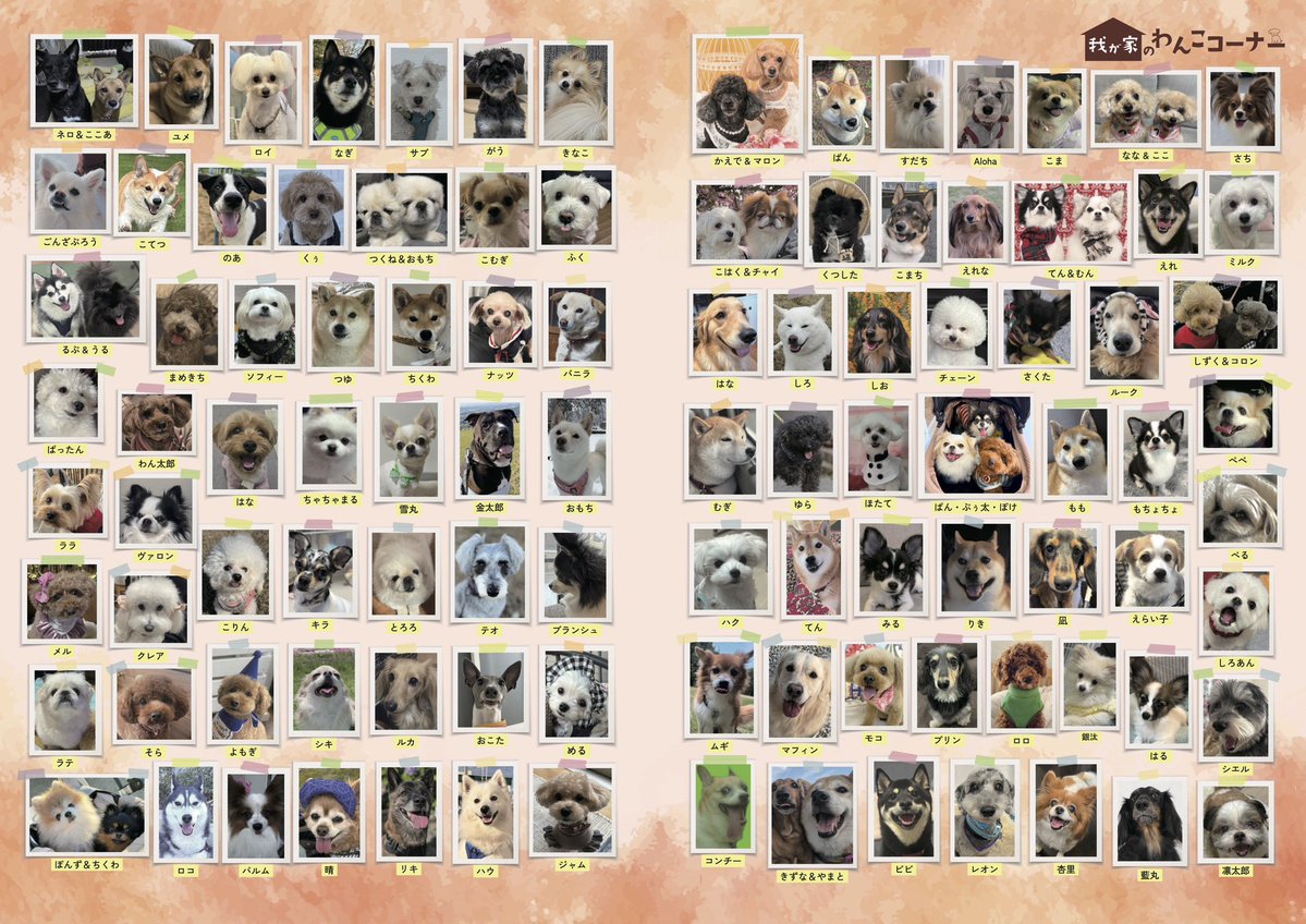 月刊わんこ編集部 tweet media