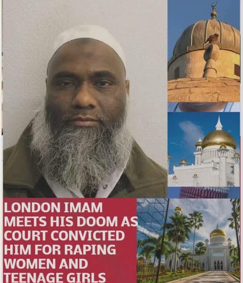 Seigfried.A.N tweet media