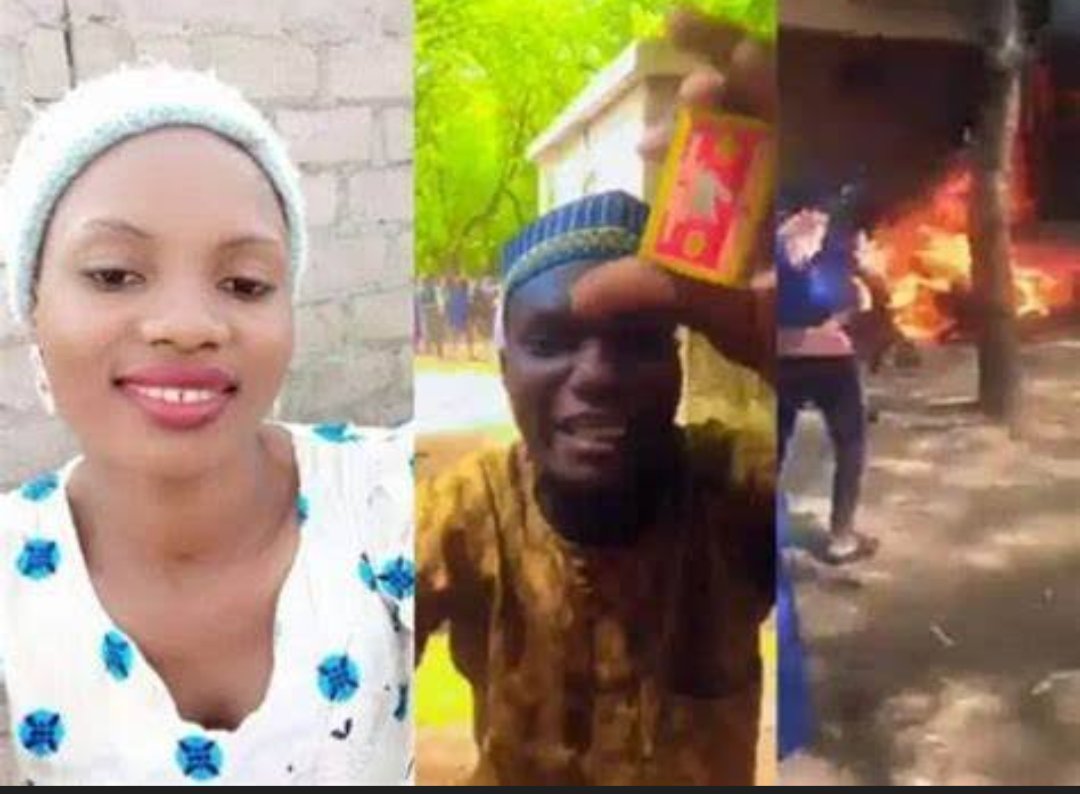 Seigfried.A.N tweet media