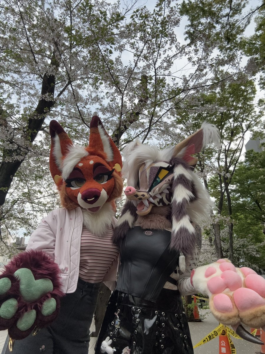 🥩 shuck hyena 🥩 in 🇯🇵 tweet media