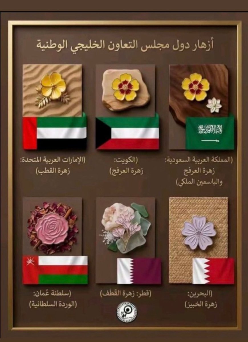 #زهرة_العرفج
#الياسمين_الملكي