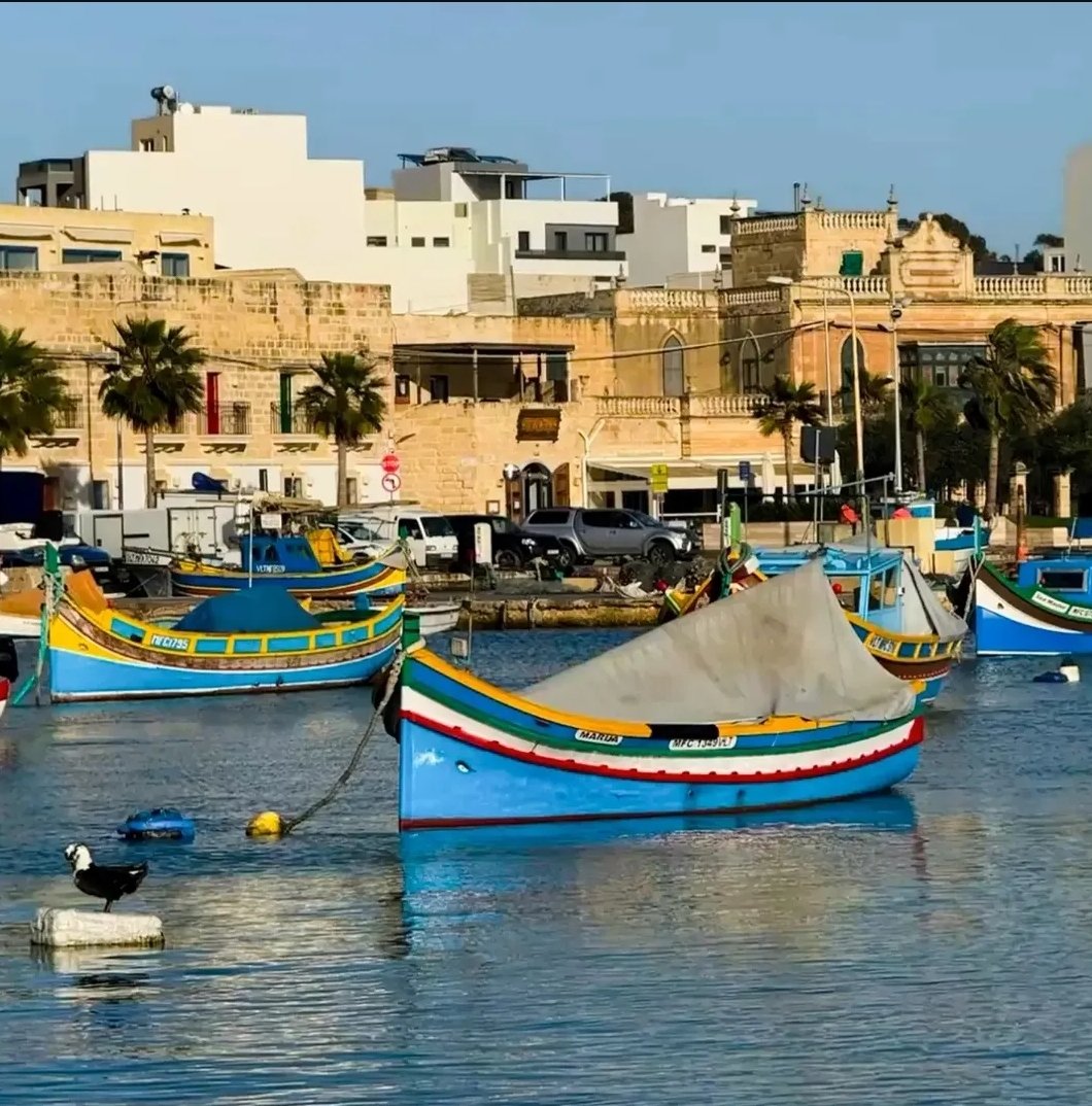 Bir kış masalı #TBT 🩵