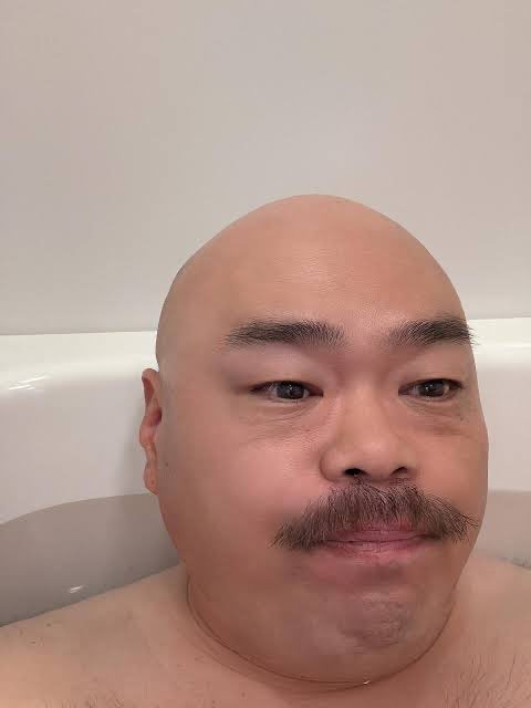 タコライス毛玉 tweet media
