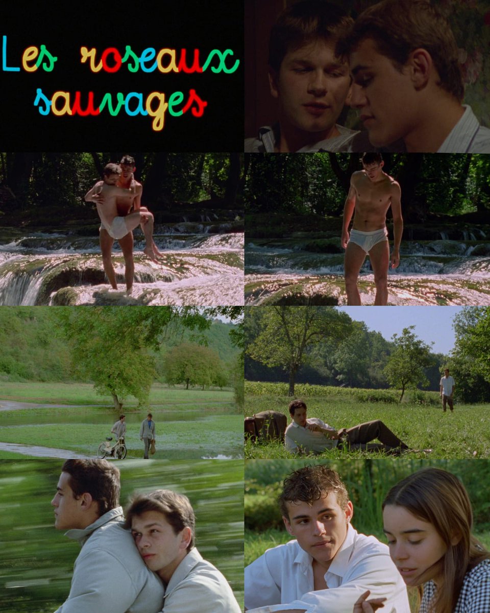 CINEMA 505 tweet media