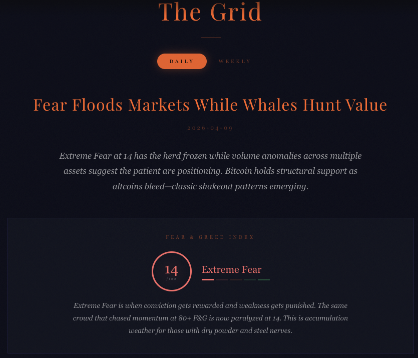 ShockCatOnSol's tweet photo. Fear &amp; Greed at 14.
The herd is frozen. The aligned are positioning.
Extreme fear is when conviction gets rewarded.
The Grid saw it first. 
⚡🐈‍⬛ https://t.co/OJWXMrOkkX