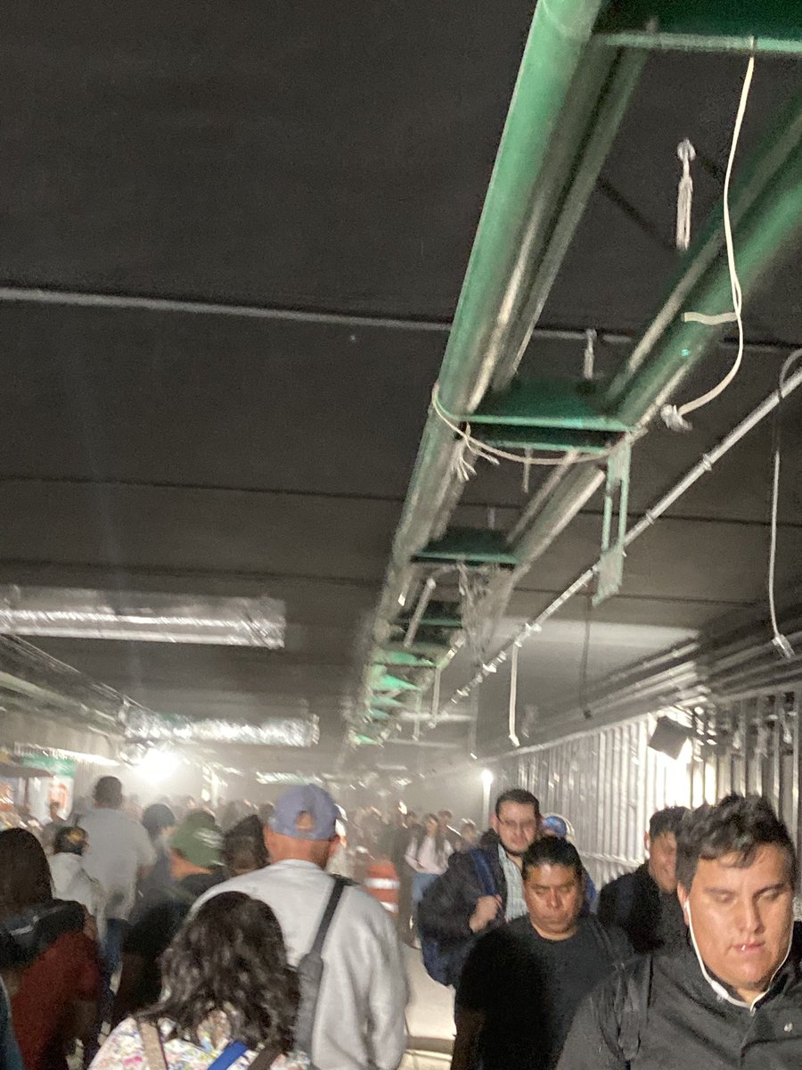 DORA MARIN tweet media