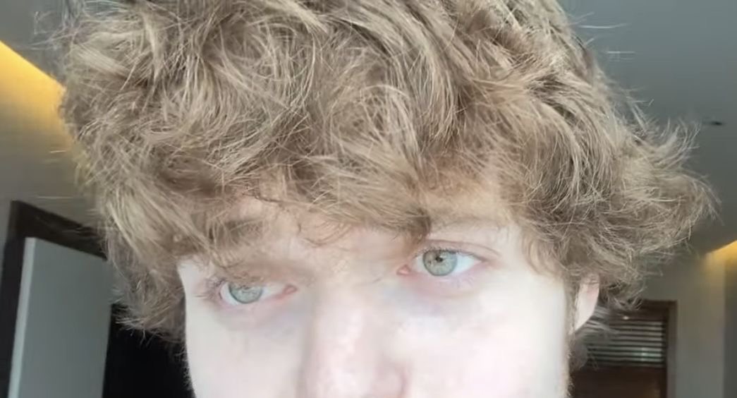 ݁ ˖Ი𐑼⋆ anna 🌿 tweet media