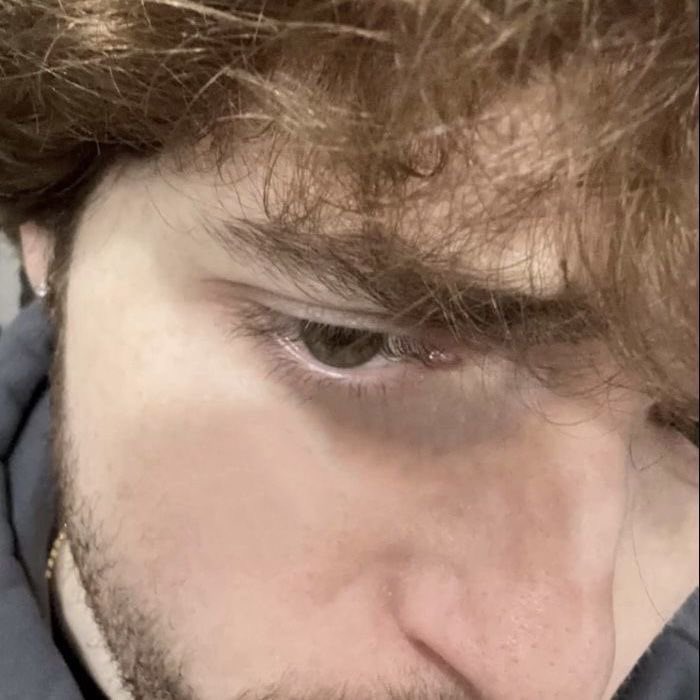 ݁ ˖Ი𐑼⋆ anna 🌿 tweet media