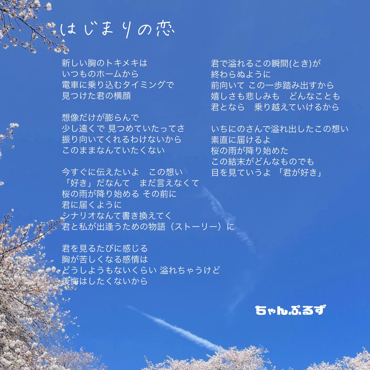 ちゃんぷるず tweet media