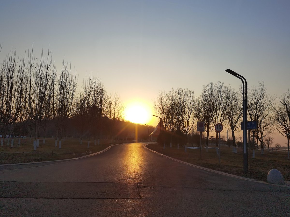 Simon Raml tweet media