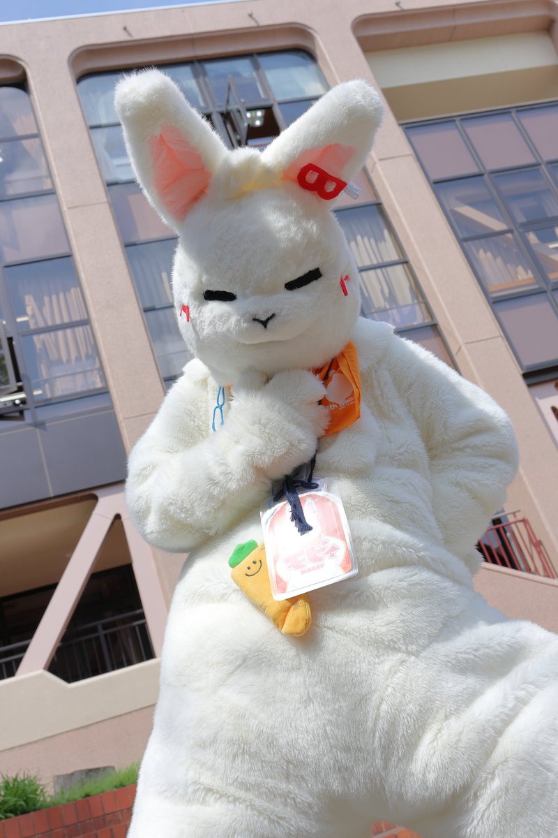 ( `ꈊ´)＜明日、4月11日に開催される「はつじゅー会16」に参加します！
( `ꈊ´)＜暑さに適度に負けつつ、がんばりましょう

#FursuitFriday