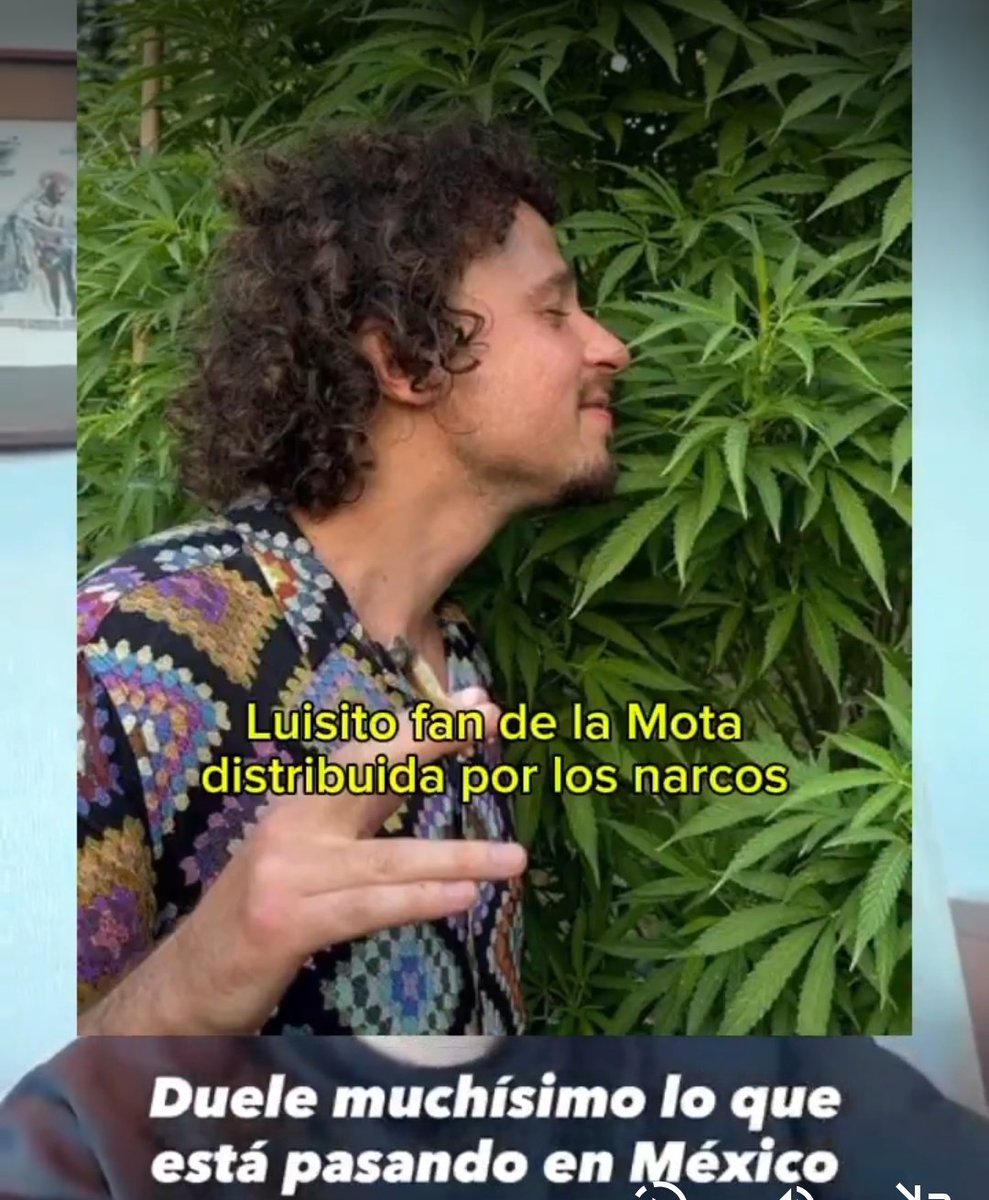 Alejandro Ramírez T.🇲🇽🖌🎨 tweet media