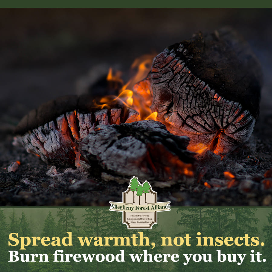 AFAAction tweet media