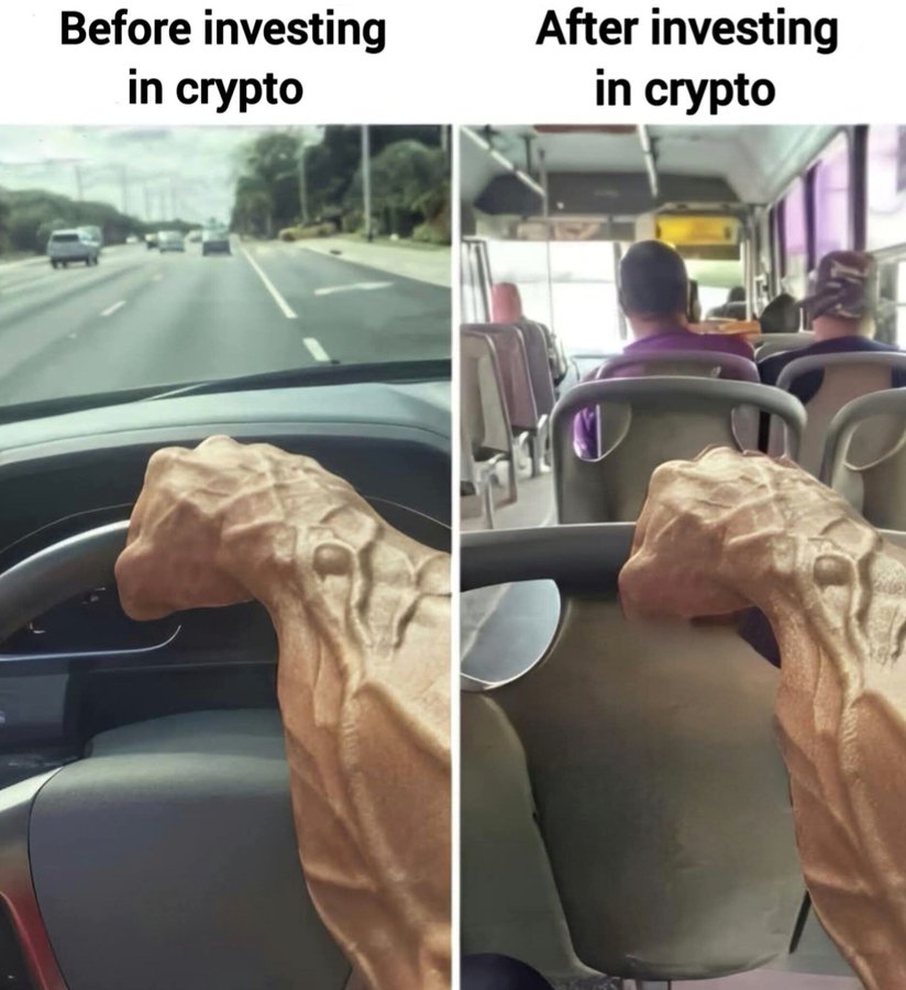 CoinCarp tweet media