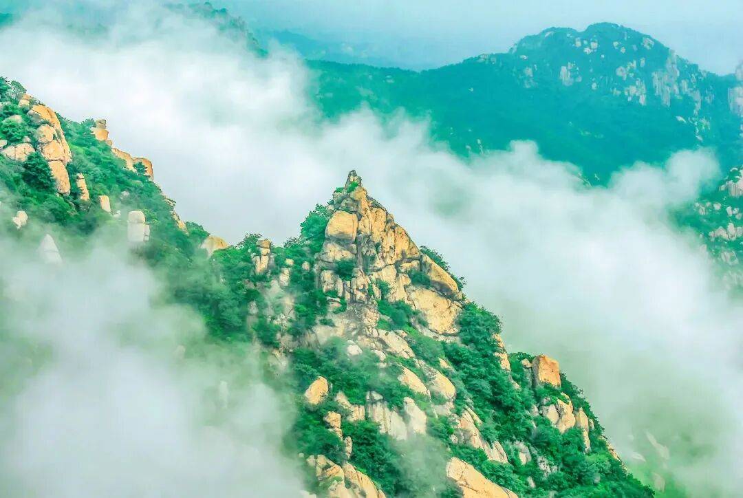 علاء محمد tweet media