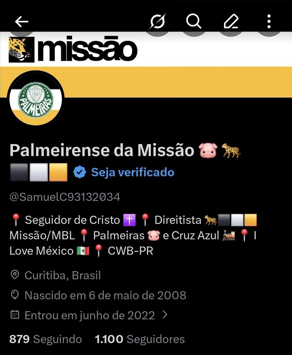 Palmeirense da Missão 🐷 🐆⬛️⬜️🟨 tweet media