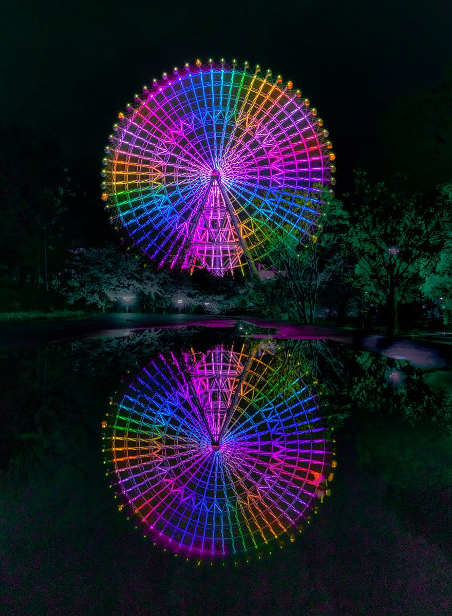 アンモナイト tweet media