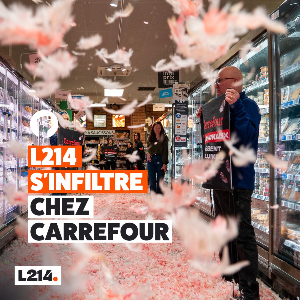 L214's tweet photo. 10 millions d’animaux sont tués chaque mois pour Carrefour. 
La majorité d’entre eux ont connu l’enfer des élevages intensifs… 

Pour que cela cesse, signons la pétition 👇