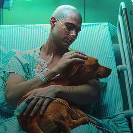 sokak kedisi tweet media