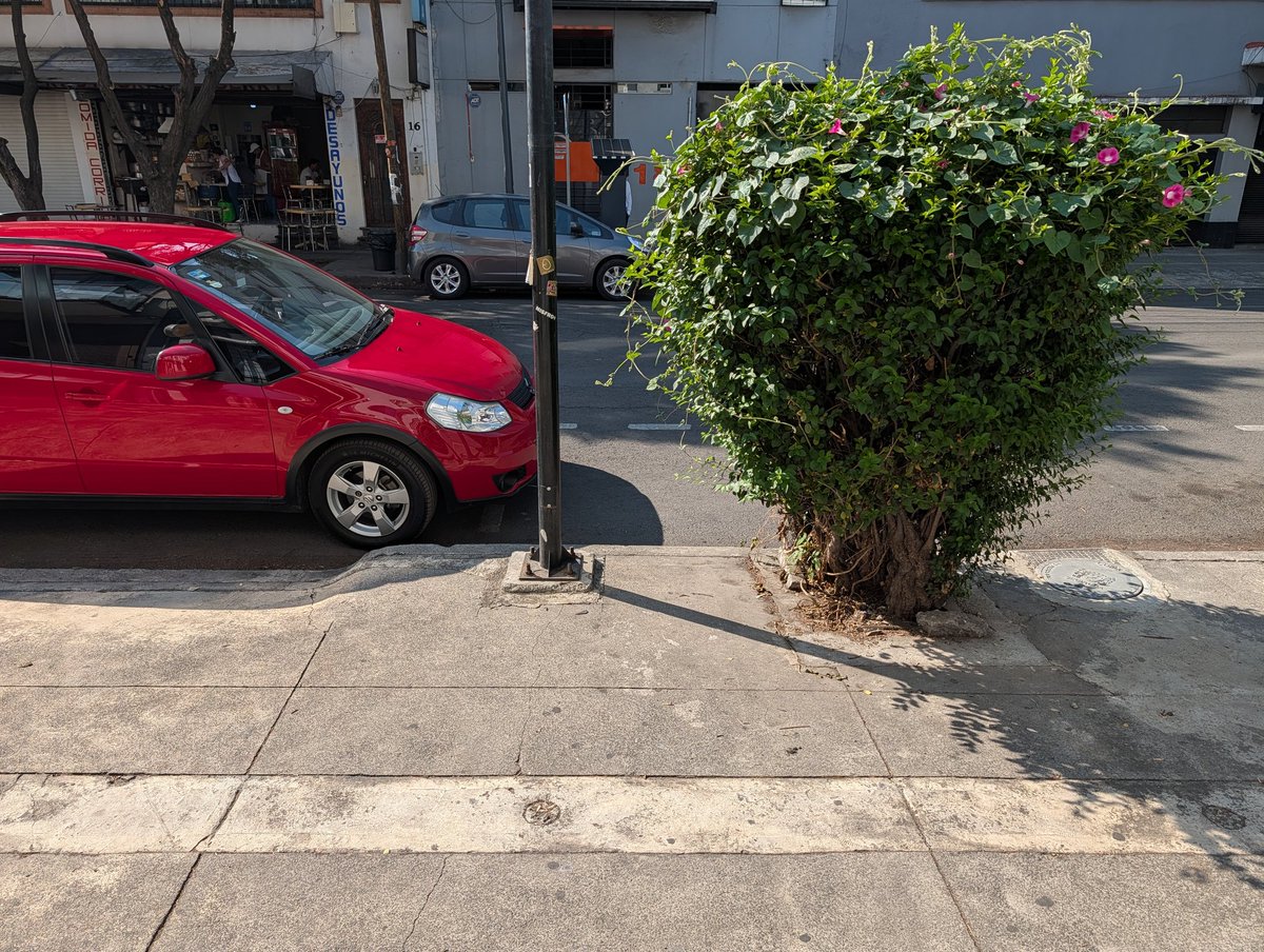 Mallenshit's tweet photo. @UCS_GCDMX Hola. Hace un par de días reporte este coche, estacionado en entrada que también es la rampa que utilizan las personas con silla de ruedas. Río Balsas esquina Río Sena.
¿Se puede hacer algo? https://t.co/dh8n3COiJE
