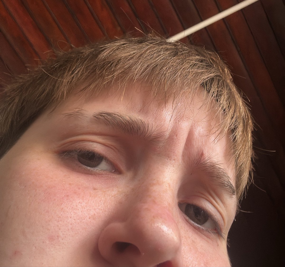 lets go lando, lando is ok tweet media