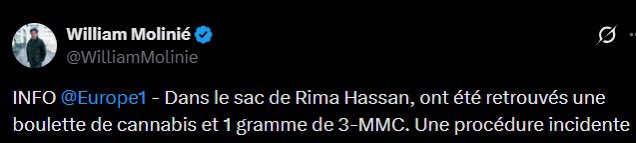 Rima Hassan tweet media