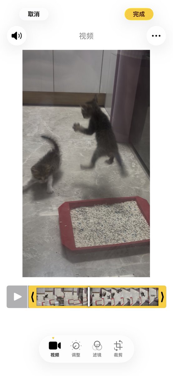 忠犬厨 tweet media