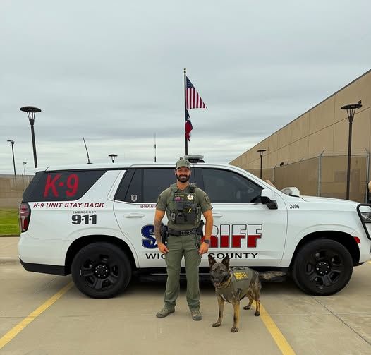 Vested Interest in K9s tweet media