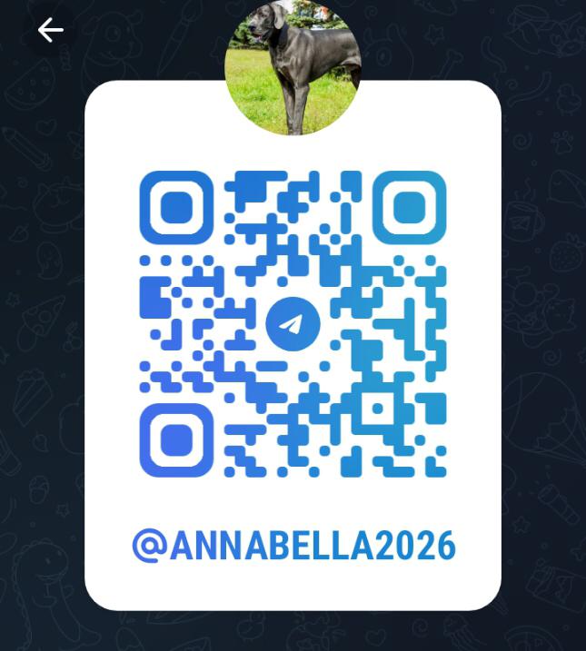 betul_evin's tweet photo. I let my dog goes deep inside me on TELEGRAM  https://t.co/xo1dbIdyPg
#zoophillia #zoosarevalid #beastiality
#dogknot #zooprideisvalid #zoophile
#antizoo #antizoophileantizoo #k9girl #zoopride
#zoophilepride #zoopositivity
#Bestiality #hypnotistsappho https://t.co/bP7MlvuMfT