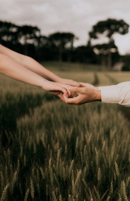 Dennis Fernandez tweet media