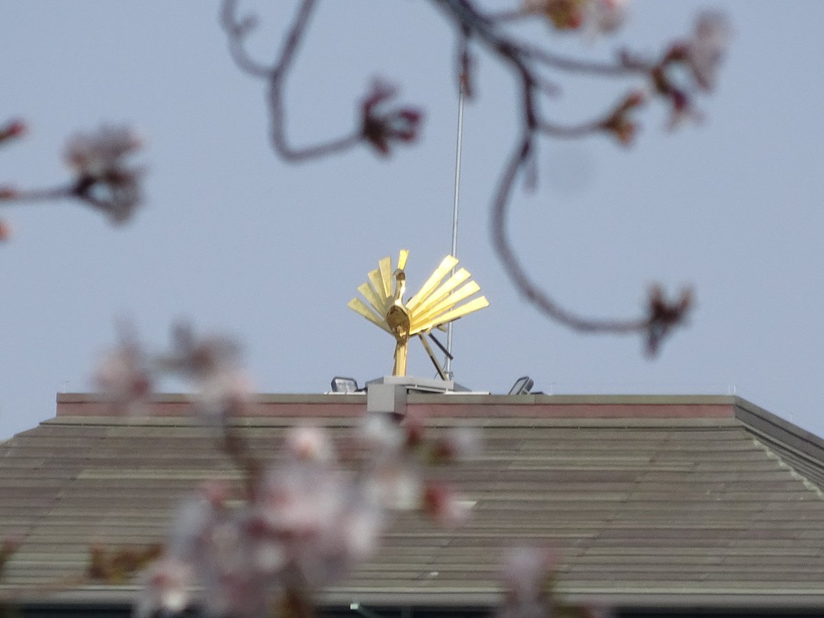 おいでよ名古屋@おいなご tweet media