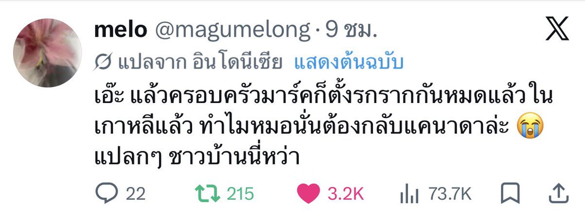 04s 🎀 tweet media