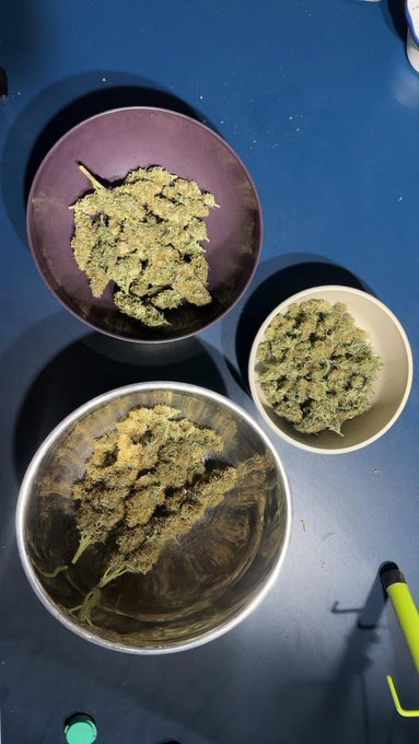 DouclasMer812's tweet photo. Commander de la beuh,hash,shit,coke uniquement via mon 🇫🇷 🇫🇷 

Télégram// @Lucasfrank21
Snapchat// beuhfrance2025

#ChaumontPorcien #Chepy #Condal
#Coubisou #Eringhem #Flamanville
#Fougueyrolles #LesHautsde Forterre https://t.co/7olufwzkuI