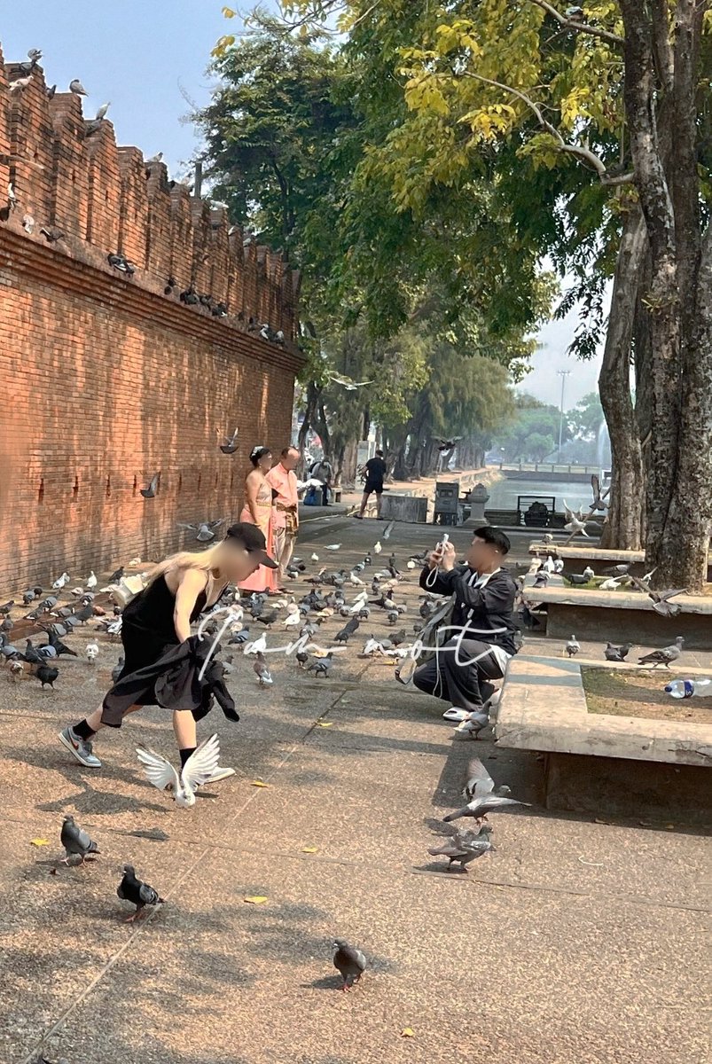 𝓘 𝓪𝓶 𝓷𝓸𝓽 tweet media