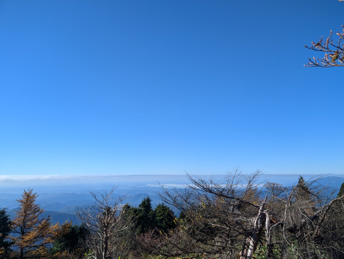 💜-makun-💜@LiSAッ子 tweet media