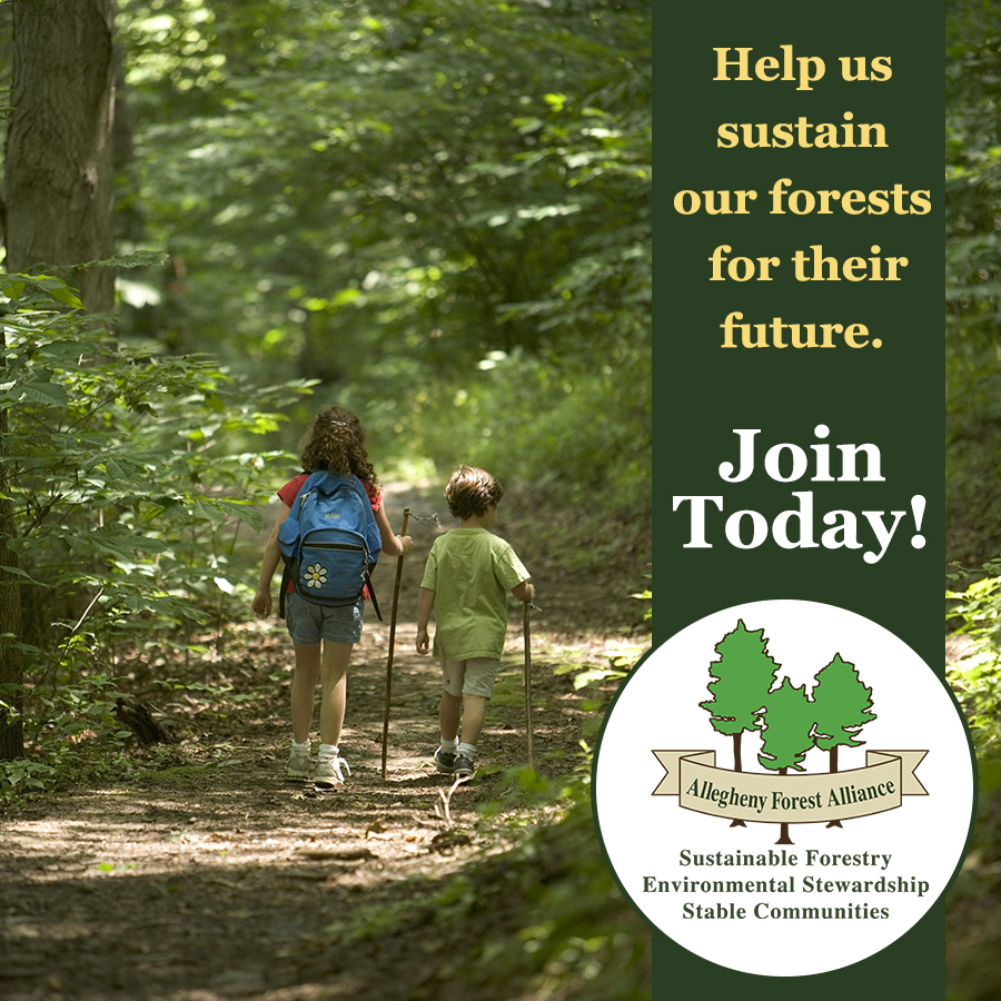 AFAAction tweet media