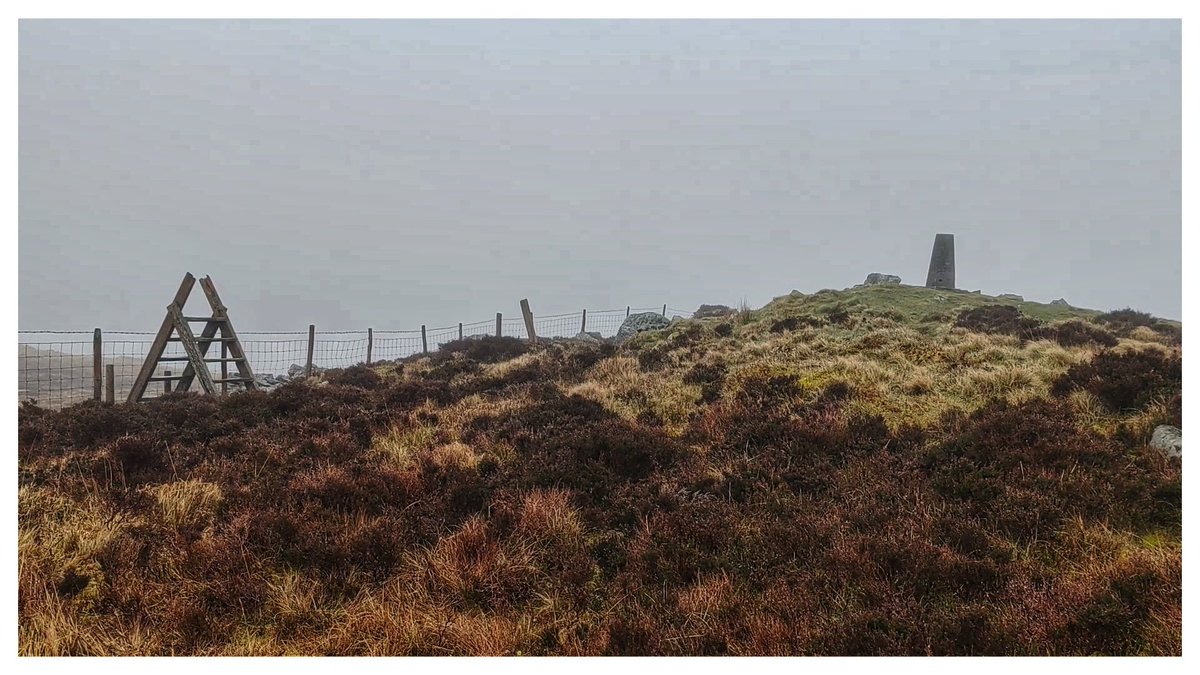 Martin Whittaker tweet media