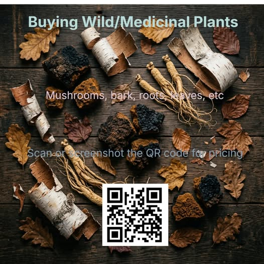 Gourmet Gleaner tweet media