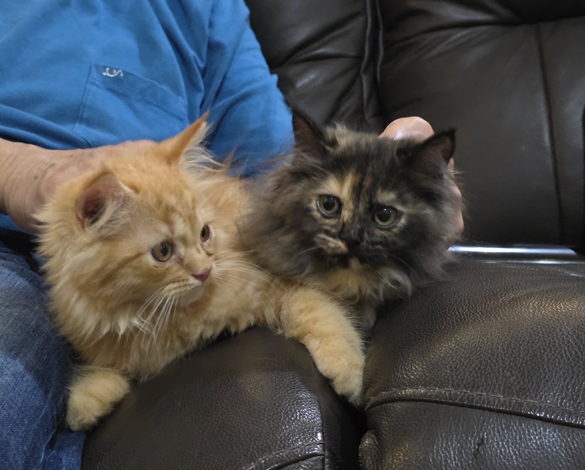 yuan - ga in 📌 tweet media