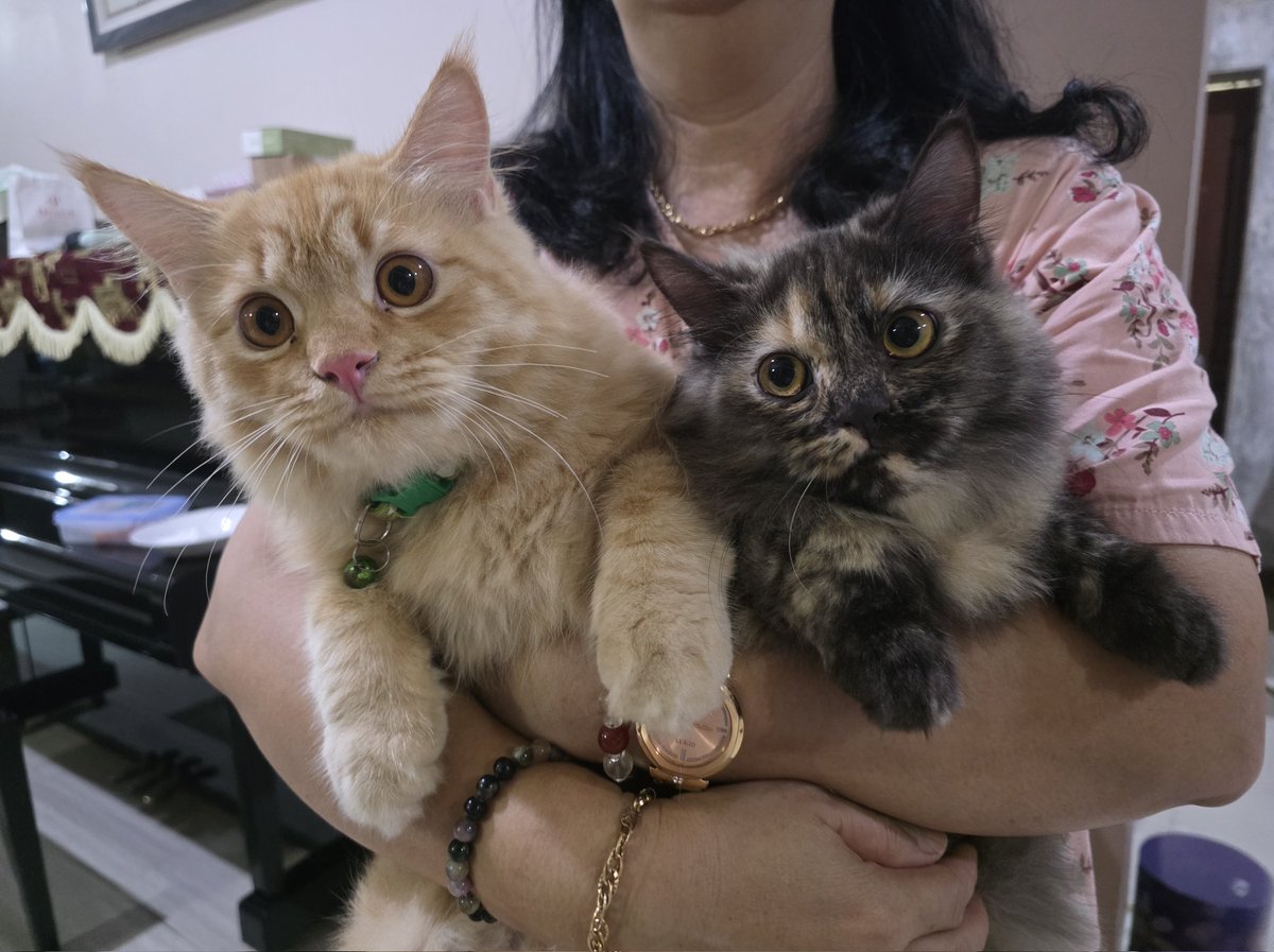 yuan - ga in 📌 tweet media