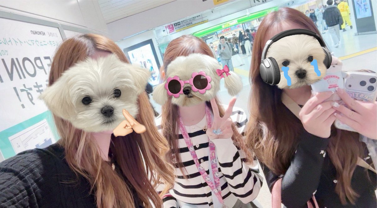 Sちゃん🍒 tweet media