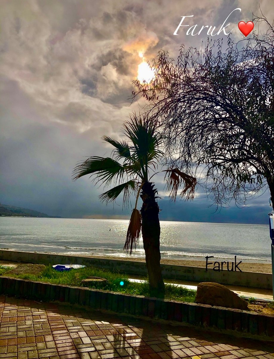 Grey_Wolf_1071's tweet photo. Bajo un cielo que susurra historias, la luz siempre encuentra su camino sobre el mar. ✨🌊 Aunque las nubes nos rodeen, el reflejo del sol brilla con esperanza. ¡Feliz tarde a todos! 👋❤️😘☁️

#BuenasTardes #Mar #Nubes #Luz #Reflejo #Atardecer https://t.co/2JBTXmuo1q
