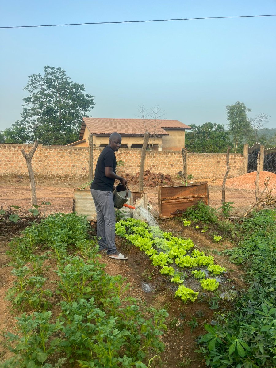 BahMama46357540's tweet photo. L'agriculture est cruciale pour la Guinée ! Sécurité alimentaire_: l'agriculture permet de nourrir la population et de réduire la dépendance aux importations.
_Emploi: c'est un secteur clé pour l'emploi, surtout en milieu rural.
_Développement économique @bahourykigna https://t.co/vKqHC2Umht